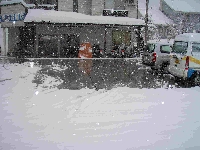 P11800011[1].jpg