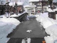hirayama[1].jpg