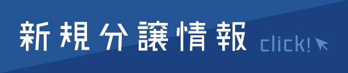 土地　糸魚川