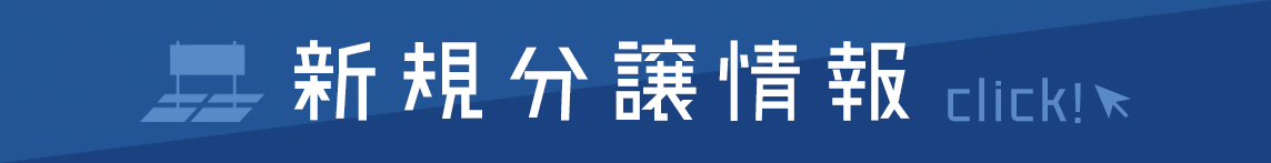 土地　糸魚川