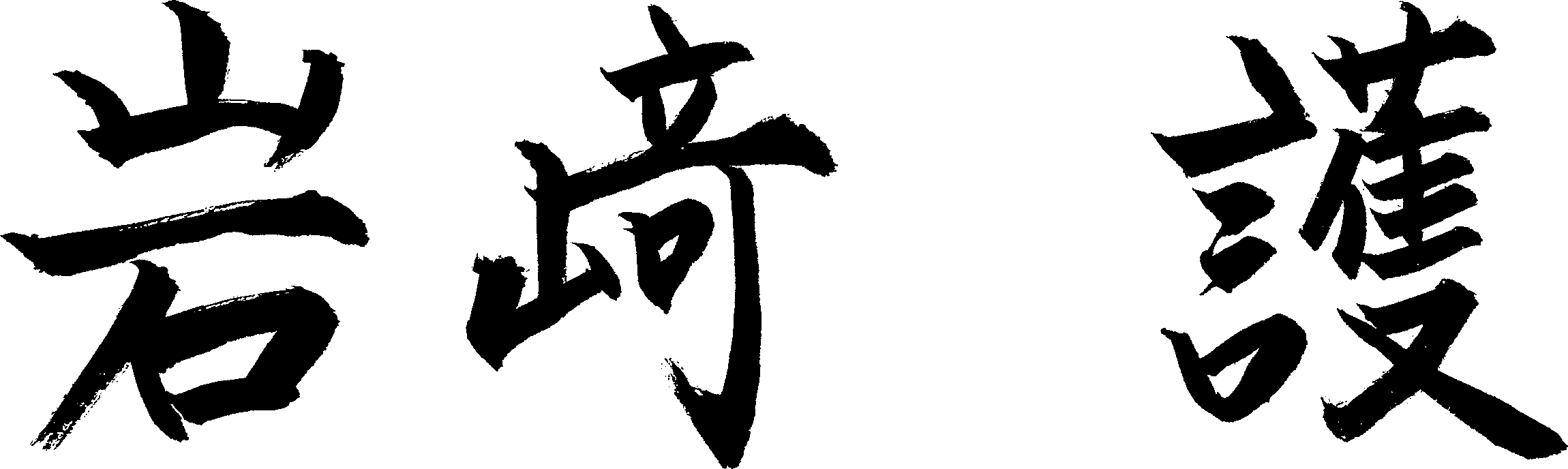 岩﨑 護